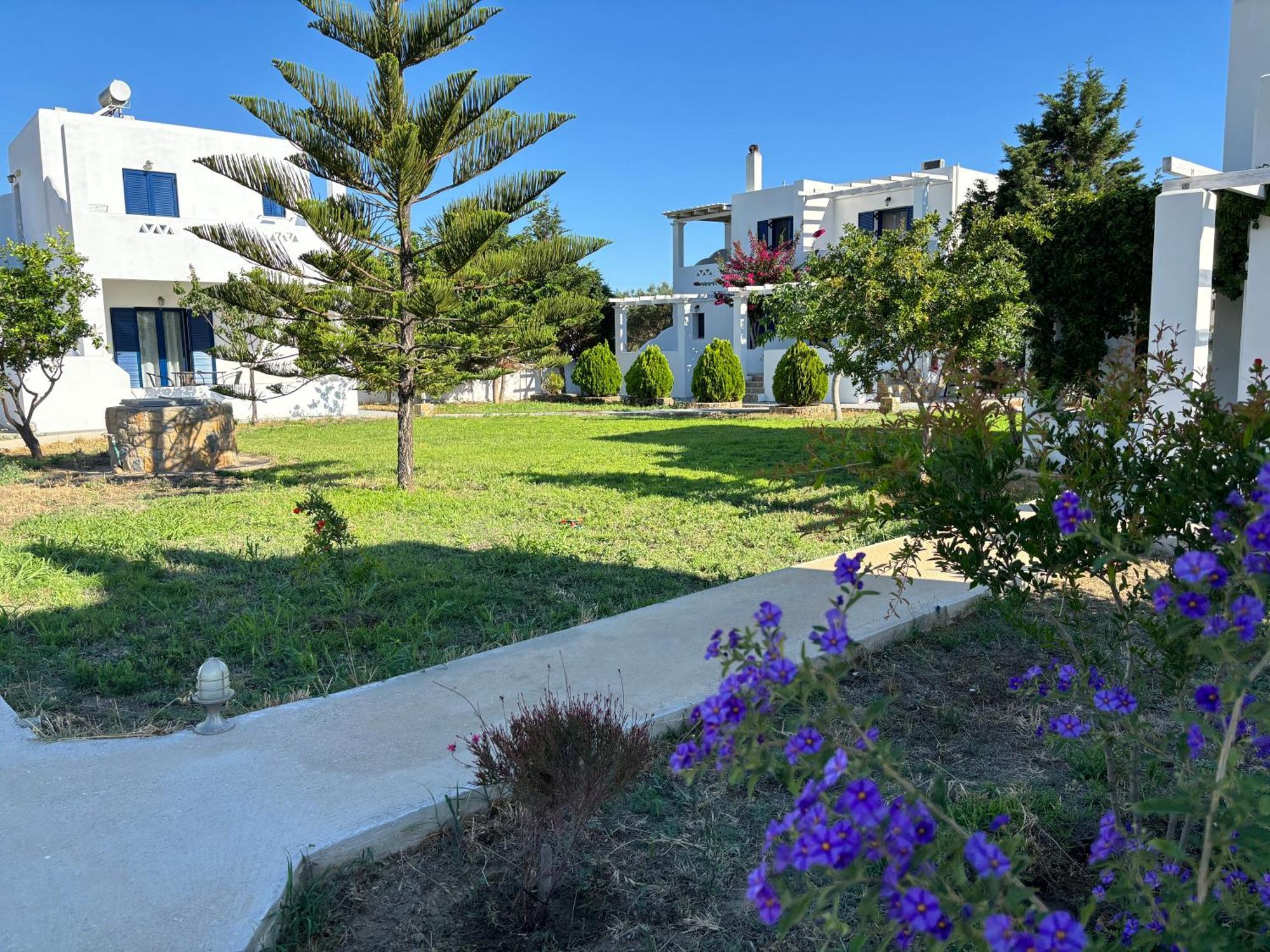 סקירוס Liostasi Houses מראה חיצוני תמונה